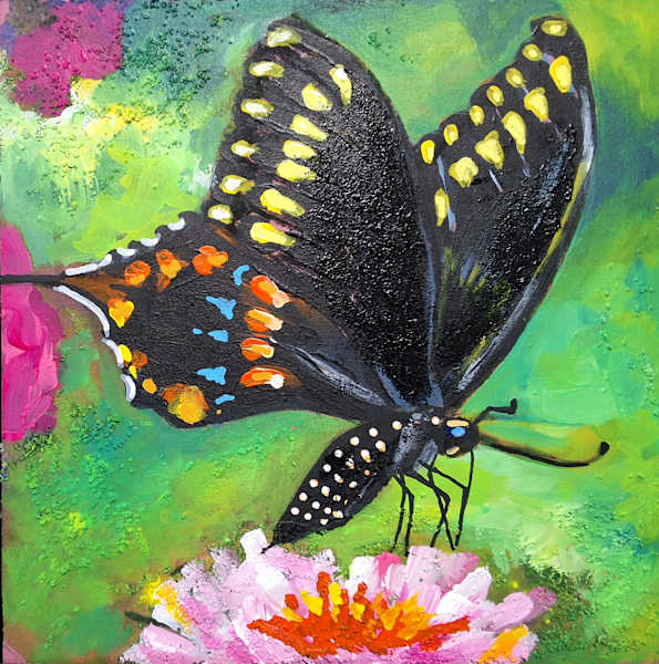 Black Butterfly (02)