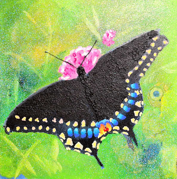 Black Butterfly (05)