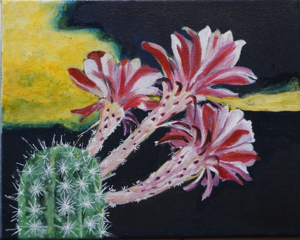 Flowering Cactus 04