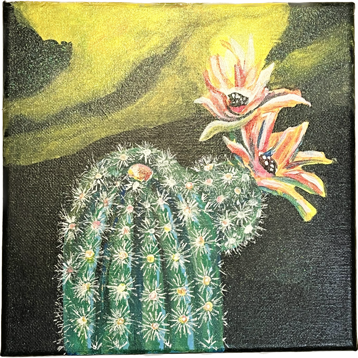 Flowering Cactus