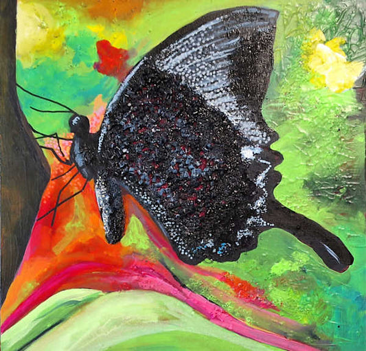 Black Butterfly (04)
