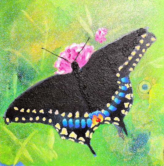 Black Butterfly (05)