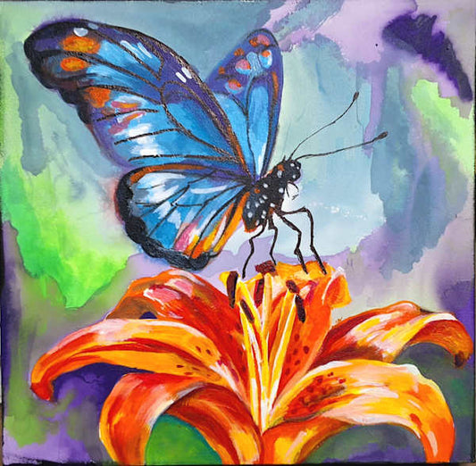 Butterfly (08)