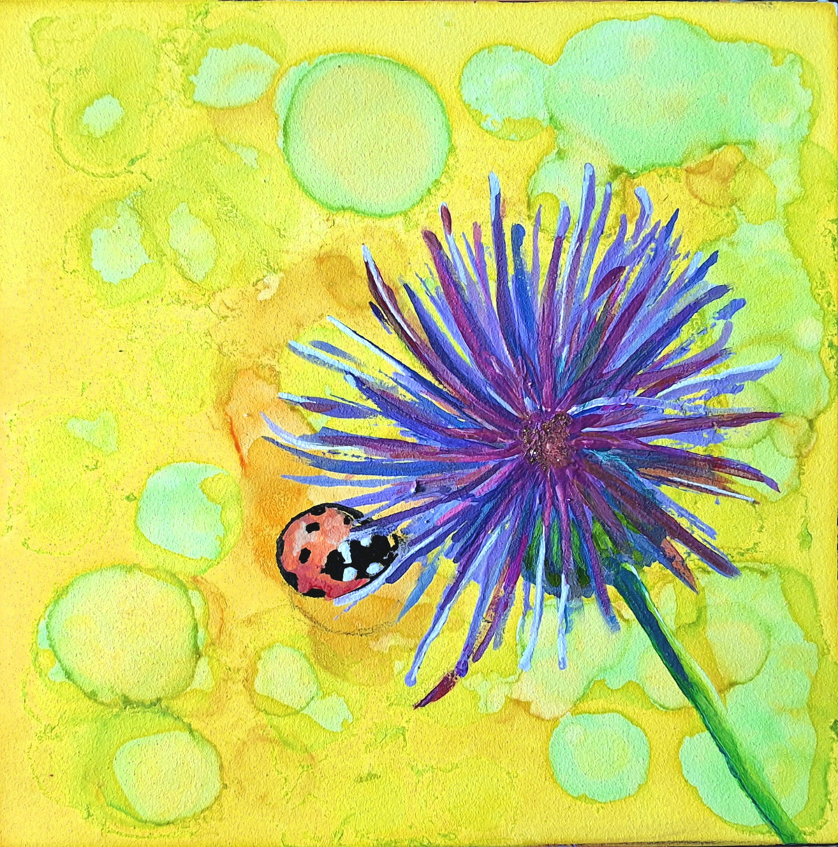 Ladybug