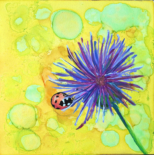 Ladybug