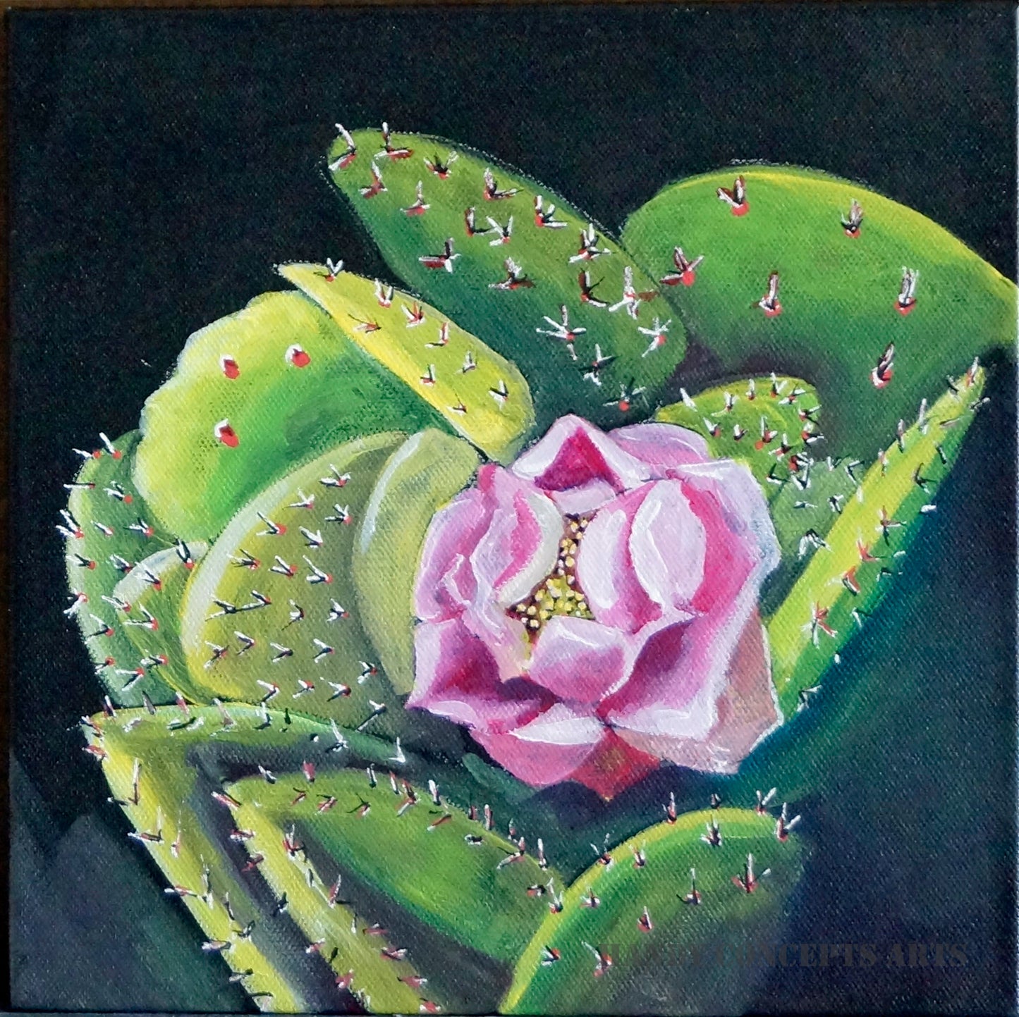 Flowering Cactus 6.2 painting