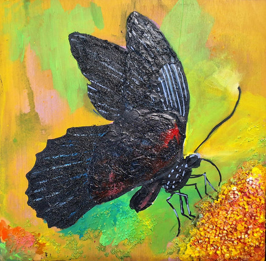 Black Butterfly (01)