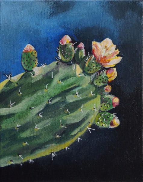 Flowering Cactus 03
