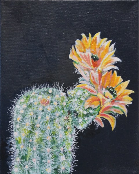 Flowering Cactus 02
