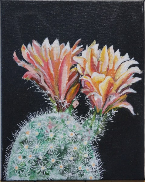 Flowering Cactus 01