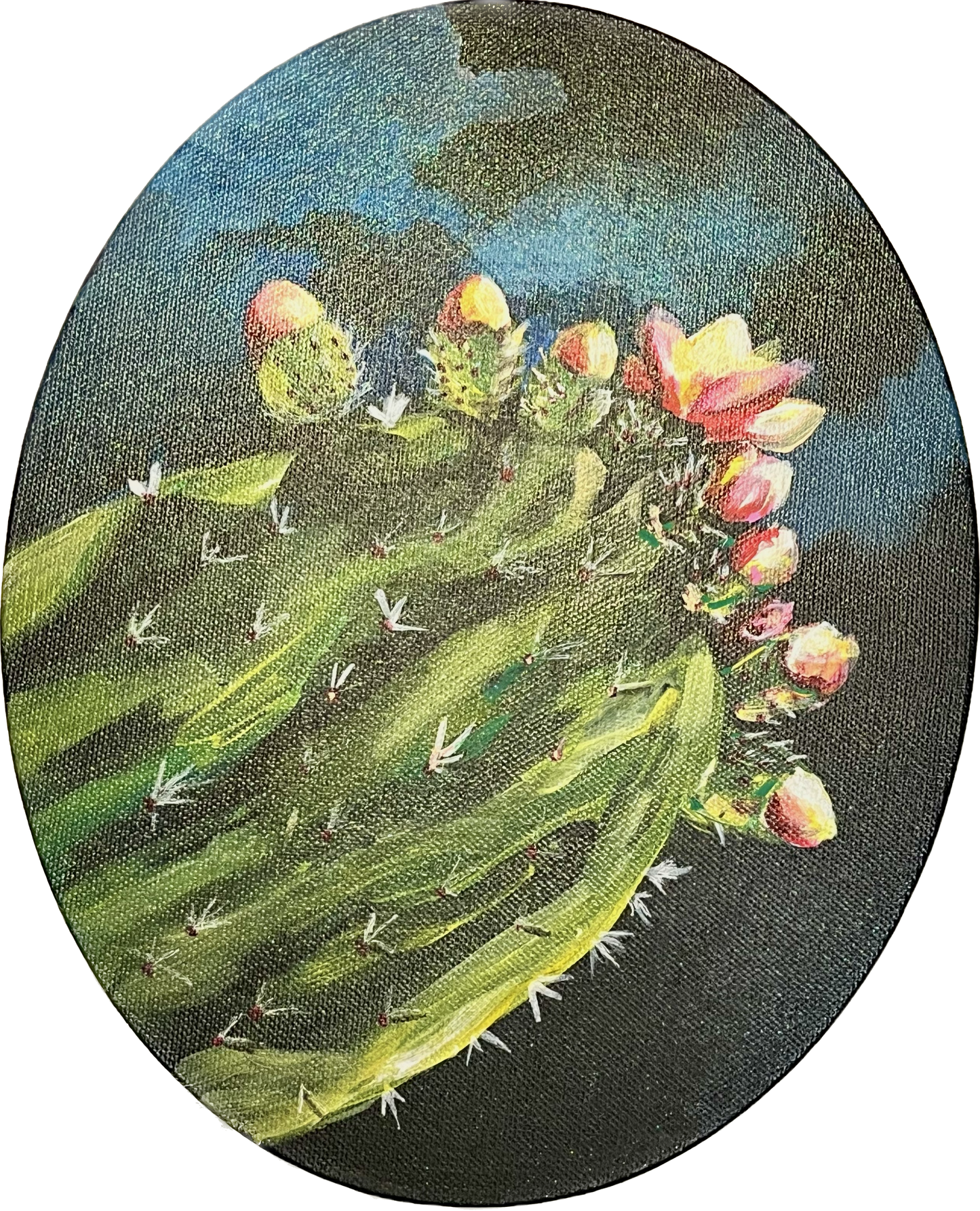 Flowering Cactus 05